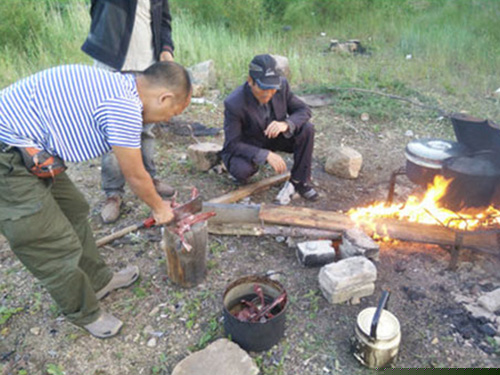 俄羅斯礦區(qū)考察-2015-(9)